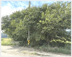  2025Ÿ��1481  �����