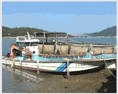  2025Ÿ��1511 �ϱ� ��ȭ��         ���ڰ��