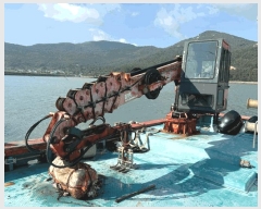  2025Ÿ��1511 �ϱ� ��ȭ��         ���ڰ��