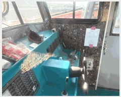  2025Ÿ��1511 �ϱ� ��ȭ��         ���ڰ��