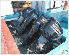  2025Ÿ��1511 �ϱ� ��ȭ��         ���ڰ��