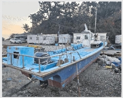  2025Ÿ��1764 ���� �ǽŸ� ������        ���ڰ��