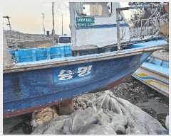  2025Ÿ��1764 ���� �ǽŸ� ������        ���ڰ��