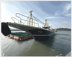  2025Ÿ��1801 ���� ��ȸ�� ������        ���ڰ��