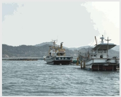  2025Ÿ��1801 ���� ��ȸ�� ������        ���ڰ��