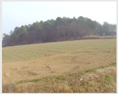  2025Ÿ��50124 ���� �س��� Ȳ��� ��ȣ�� 787      ����(�Ӿ�)���