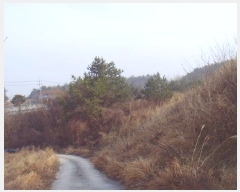  2025Ÿ��50124 ���� �س��� Ȳ��� ��ȣ�� 787      ����(�Ӿ�)���