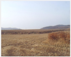  2025Ÿ��50124 ���� �س��� Ȳ��� ��ȣ�� 787      ����(�Ӿ�)���