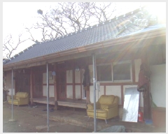  2025Ÿ��50124 ���� �س��� Ȳ��� ��ȣ�� 787      ����(�Ӿ�)���