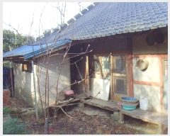  2025Ÿ��50124 ���� �س��� Ȳ��� ��ȣ�� 787      ����(�Ӿ�)���