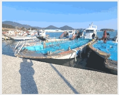  2025Ÿ50312  ϵ ȭ .       ڰ