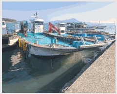  2025Ÿ50312  ϵ ȭ .       ڰ