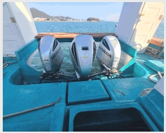  2025Ÿ50312  ϵ ȭ .       ڰ