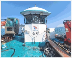  2025Ÿ50312  ϵ ȭ .       ڰ