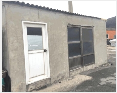  2025Ÿ��50353  �������