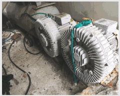  2025Ÿ��50353  �������