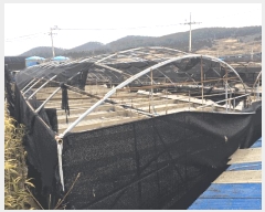  2025Ÿ��50353  �������