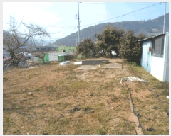  2025Ÿ50354  س ȭ  239-117      ()