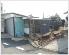  2025Ÿ50354  س ȭ  239-117      ()