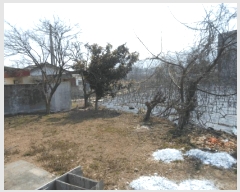  2025Ÿ50354  س ȭ  239-117      ()