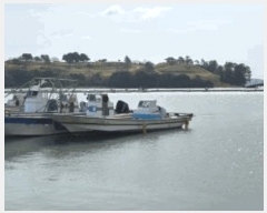  2025Ÿ50363  ϵ  .       ڰ