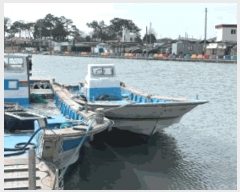  2025Ÿ50363  ϵ  .       ڰ