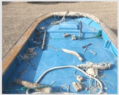  2025Ÿ50364  ϵ ȭ .       ڰ