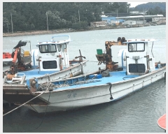  2025Ÿ50398  ϵ  .       ڰ