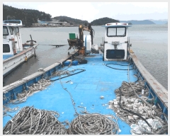  2025Ÿ50398  ϵ  .       ڰ