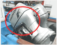  2025Ÿ50398  ϵ  .       ڰ