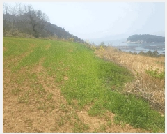  2025Ÿ50409  ϵ û û 318-1      ()