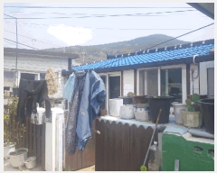  2025Ÿ50409  ϵ û û 318-1      ()