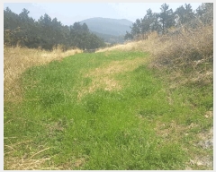  2025Ÿ50409  ϵ û û 318-1      ()