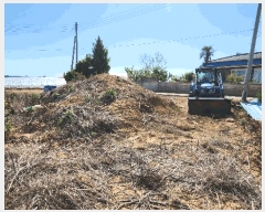  2025Ÿ��50444 ���� �س��� ������ ������ 675-2      ����(����)���