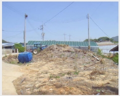  2025Ÿ��50444 ���� �س��� ������ ������ 675-2      ����(����)���