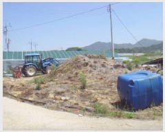  2025Ÿ��50444 ���� �س��� ������ ������ 675-2      ����(����)���