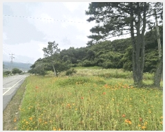  2025Ÿ50445    丮 1023      (1)