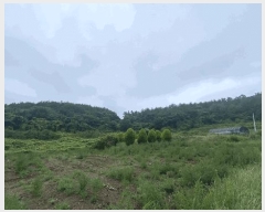  2025Ÿ50445    丮 1023      (1)