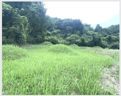  2025Ÿ50445    丮 1023      (1)