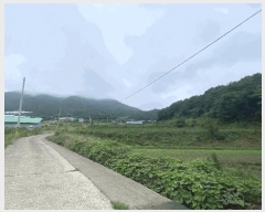  2025Ÿ50445    丮 1023      (1)