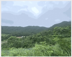  2025Ÿ50445    丮 1023      (1)