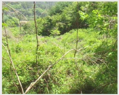  2025Ÿ50445    丮 1023      (1)