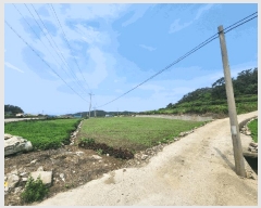  2025Ÿ50480    ͼ 469-1      (1)