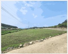  2025Ÿ50480    ͼ 469-1      (1)