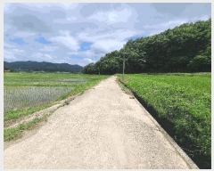  2025Ÿ50483  س   669-12      ()