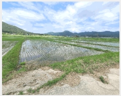  2025Ÿ50483  س   669-12      ()