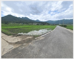  2025Ÿ50483  س   669-12      ()