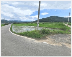  2025Ÿ50483  س   669-12      ()