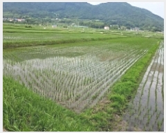  2025Ÿ50483  س   669-12      ()