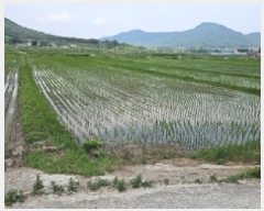  2025Ÿ50483  س   669-12      ()